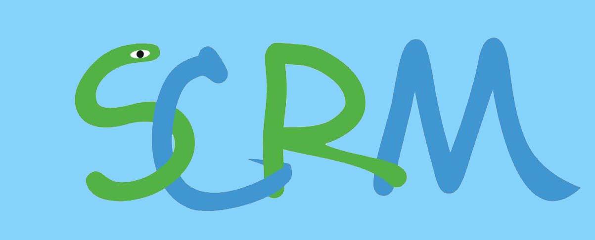 SCRMʹͳӪCRMʲô